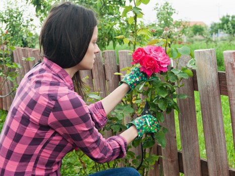 Seasonal gardening in Sudbury